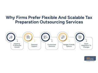 tax-preparation-outsourcing-services-small-0