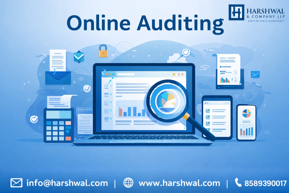 online-auditing-services-for-financial-accuracy-big-0