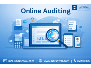 online-auditing-services-for-financial-accuracy-small-0