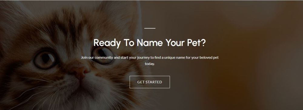best-pet-names-cute-unique-dog-cat-name-ideas-big-0
