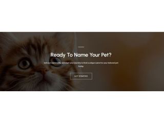 best-pet-names-cute-unique-dog-cat-name-ideas-small-0