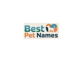 best-pet-names-cute-unique-dog-cat-name-ideas-small-1