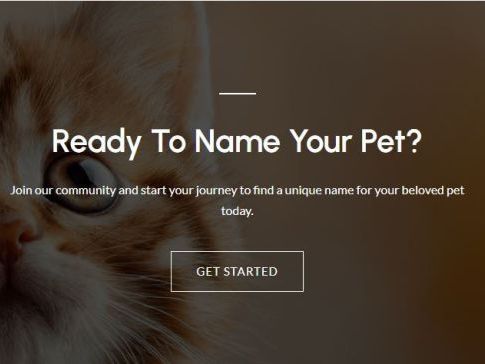 best-pet-names-cute-unique-dog-cat-name-ideas