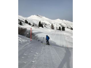 top-ski-school-davos-offering-expert-lessons-and-alpine-training-small-0