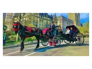 horse-carriage-ride-in-nyc-small-0