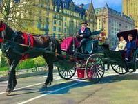 horse-carriage-ride-in-nyc
