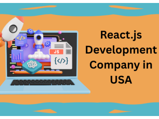 reactjs-development-company-in-usa-small-0