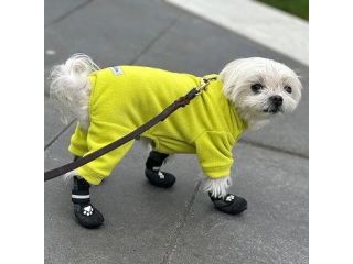 best-dog-fleece-small-0