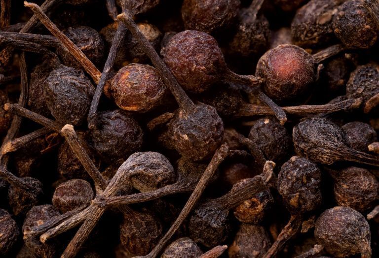 premium-wild-pepper-madagascar-supplier-big-0