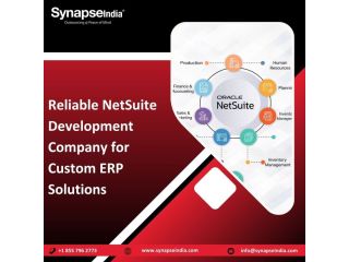reliable-netsuite-development-company-for-custom-erp-solutions-small-0