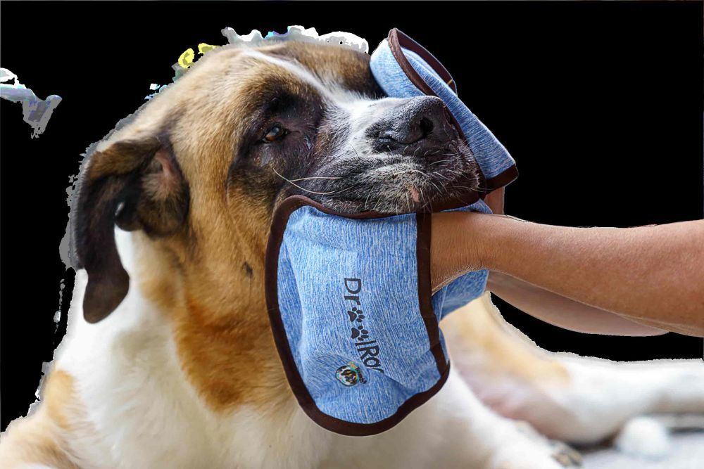 buy-a-drool-catcher-for-your-dogs-from-hugehounds-big-0