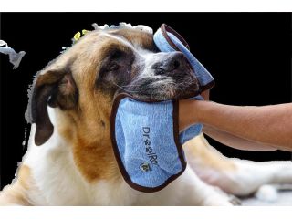 buy-a-drool-catcher-for-your-dogs-from-hugehounds-small-0