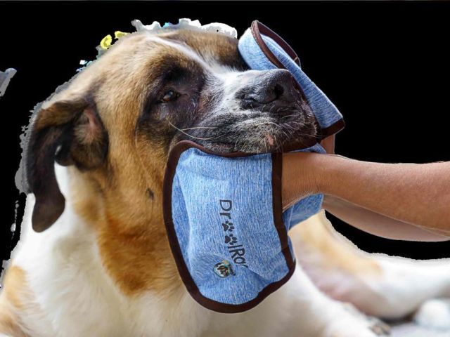 buy-a-drool-catcher-for-your-dogs-from-hugehounds