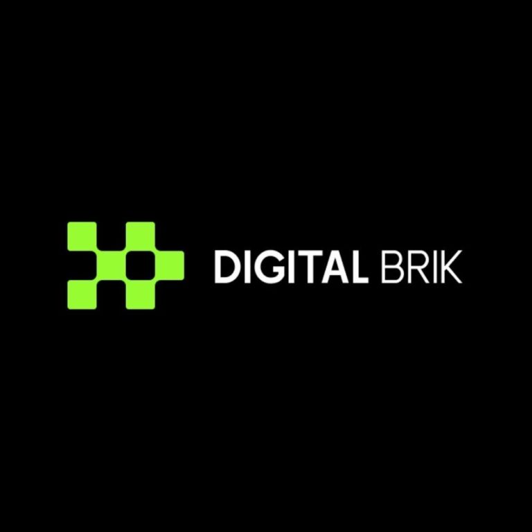 digital-brik-big-0