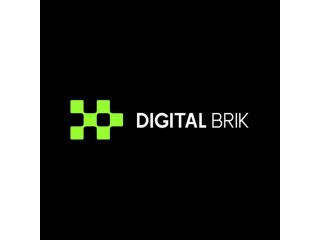 digital-brik-small-0