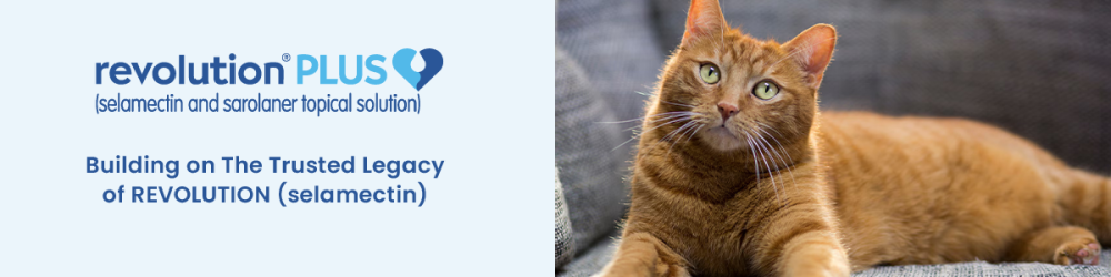 revolution-plus-for-cats-up-to-60-off-free-shipping-big-0