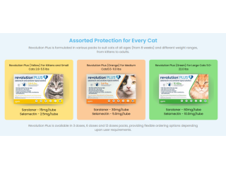 revolution-plus-for-cats-up-to-60-off-free-shipping-small-1