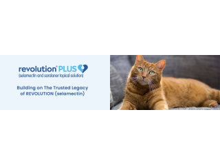 revolution-plus-for-cats-up-to-60-off-free-shipping-small-0