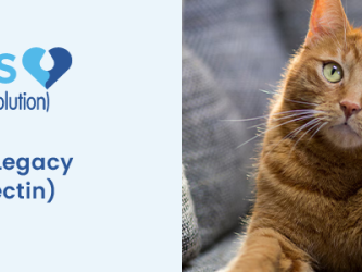 revolution-plus-for-cats-up-to-60-off-free-shipping