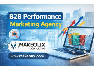 b2b-performance-marketing-agency-makeolix-experts-small-0