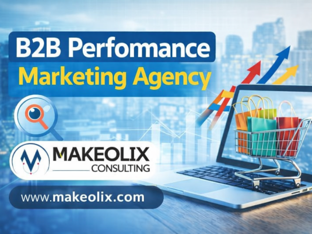 b2b-performance-marketing-agency-makeolix-experts