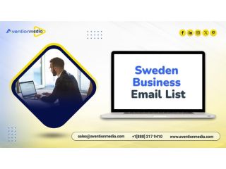 acquire-a-highquality-sweden-business-email-list-leads-list-small-0