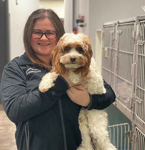 best-pet-care-in-fairfax-when-every-minute-matters-big-0