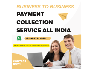trusted-loan-and-emi-recovery-experts-in-mumbai-small-2