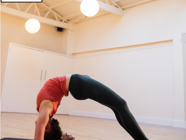 charlotte-nc-yoga-studios-for-peace-mythical-healings