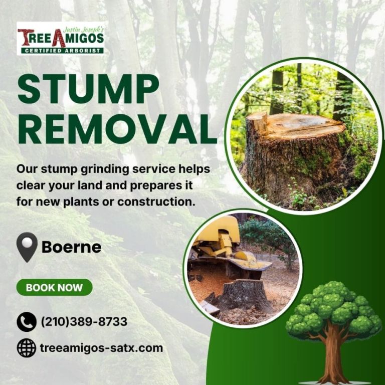 stump-removal-in-boerne-big-0