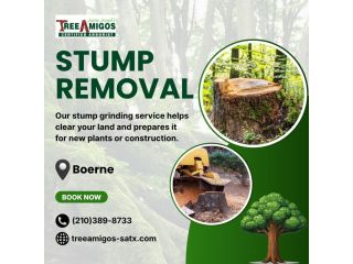 stump-removal-in-boerne-small-0