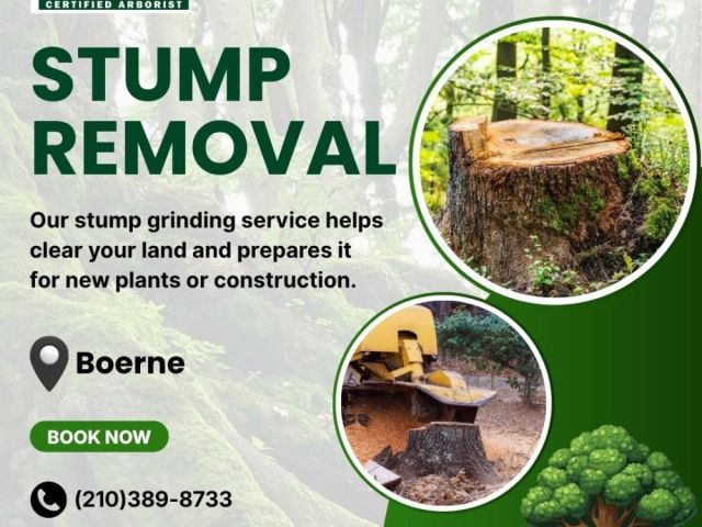 stump-removal-in-boerne