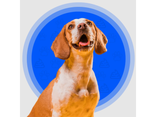 dog-poop-pickup-in-dfw-small-0