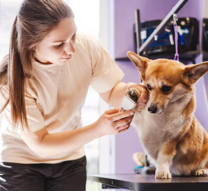 reliable-mobile-groomer-big-0