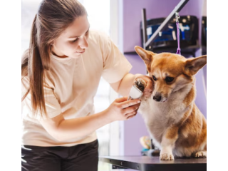 reliable-mobile-groomer-small-0