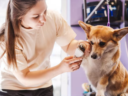 reliable-mobile-groomer