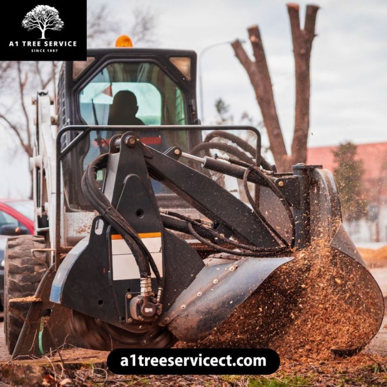 a1-tree-service-reliable-tree-removal-near-me-big-0