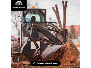 a1-tree-service-reliable-tree-removal-near-me-small-0