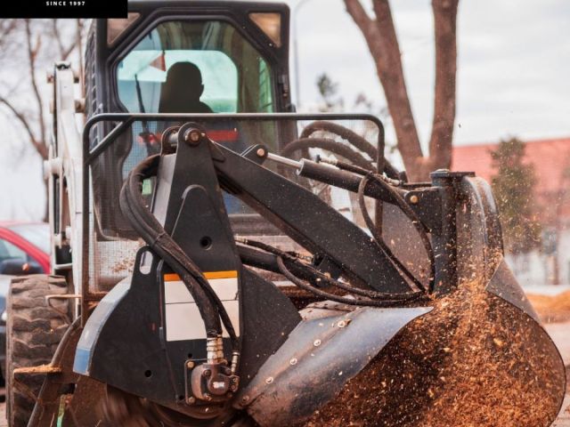 a1-tree-service-reliable-tree-removal-near-me