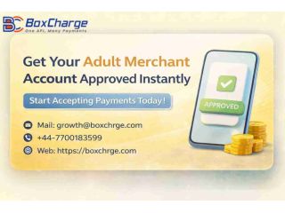get-an-adult-merchant-account-instantly-fast-approval-small-0