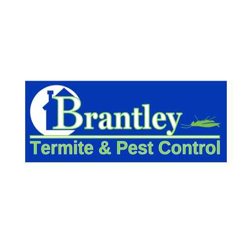 expert-rodent-pest-removal-big-0