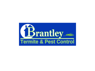 expert-rodent-pest-removal-small-0