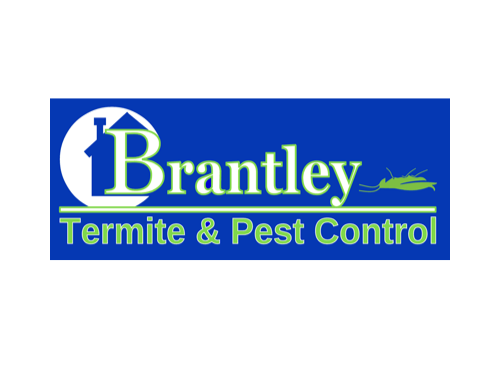 expert-rodent-pest-removal