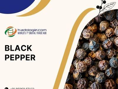 premium-bulk-black-pepper-king-of-spices-buy-sell