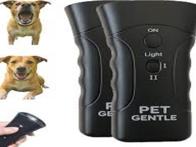 petgentle-reviews-the-smart-way-to-train-your-pets-effortlessly