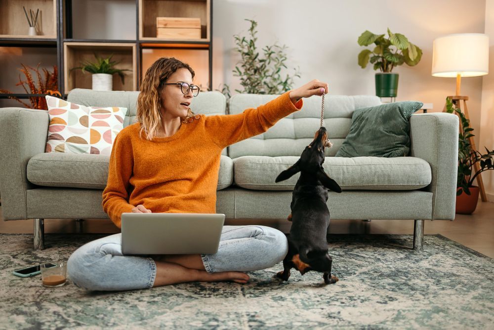 pet-friendly-rentals-in-columbia-county-big-0