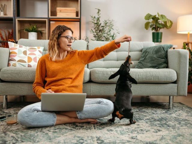 pet-friendly-rentals-in-columbia-county