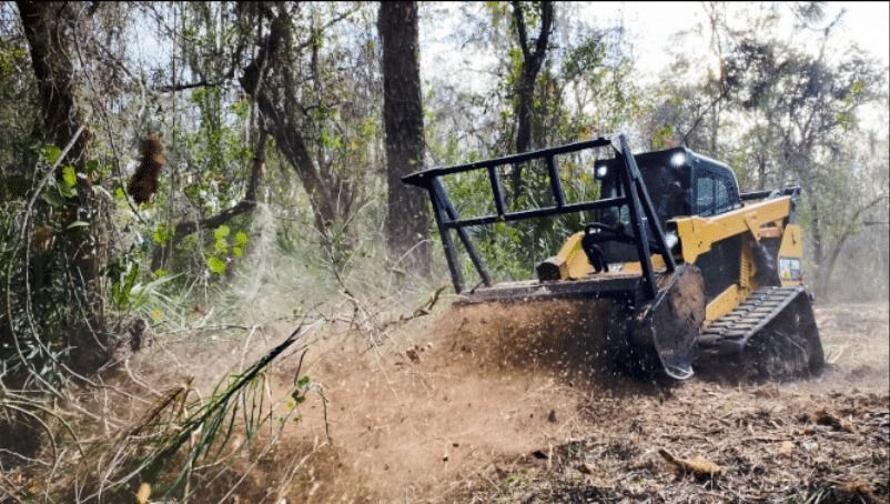 professional-forestry-mowing-services-in-hilo-arborist-services-big-0