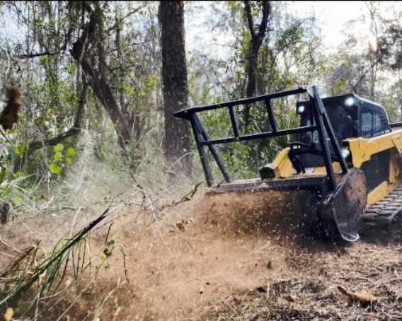 professional-forestry-mowing-services-in-hilo-arborist-services