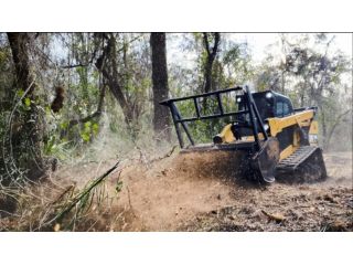 professional-forestry-mowing-services-in-hilo-arborist-services-small-0